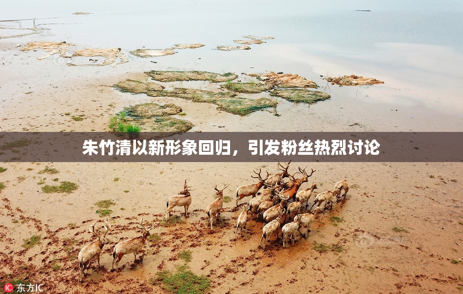 朱竹清以新形象回归，引发粉丝热烈讨论