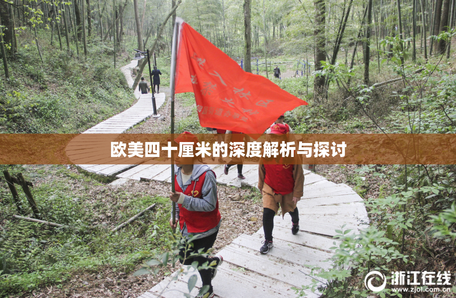欧美四十厘米的深度解析与探讨