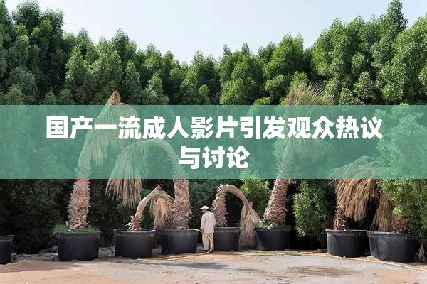 国产一流成人影片引发观众热议与讨论