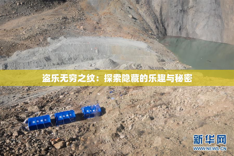 盗乐无穷之纹：探索隐藏的乐趣与秘密