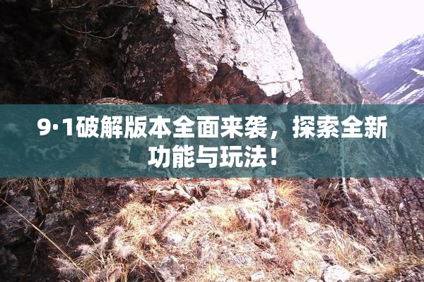 9·1破解版本全面来袭，探索全新功能与玩法！