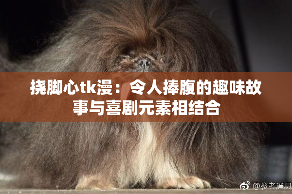 挠脚心tk漫：令人捧腹的趣味故事与喜剧元素相结合