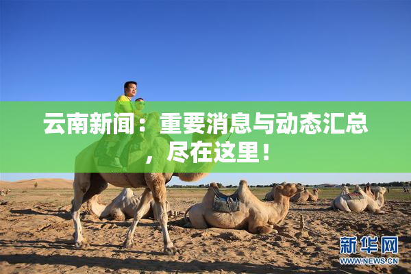 云南新闻：重要消息与动态汇总，尽在这里！