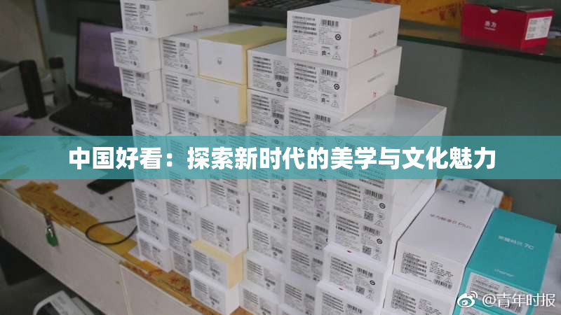 中国好看：探索新时代的美学与文化魅力