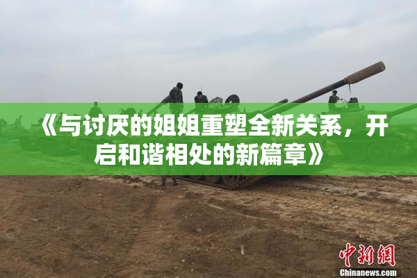 《与讨厌的姐姐重塑全新关系，开启和谐相处的新篇章》