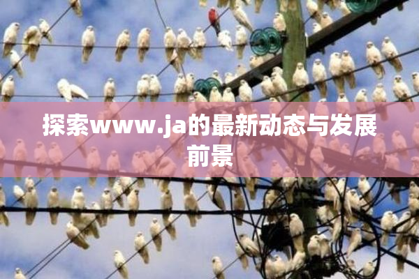 探索www.ja的最新动态与发展前景