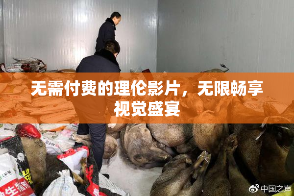 无需付费的理伦影片，无限畅享视觉盛宴
