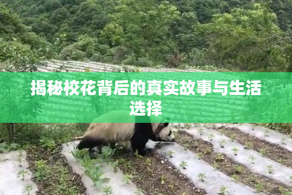 揭秘校花背后的真实故事与生活选择