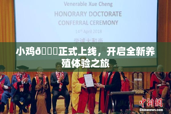 小鸡🐔正式上线，开启全新养殖体验之旅