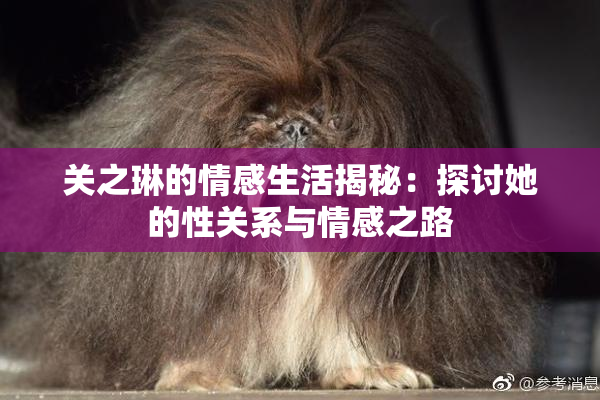 关之琳的情感生活揭秘：探讨她的性关系与情感之路