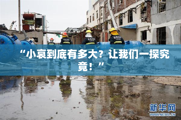 “小哀到底有多大？让我们一探究竟！”