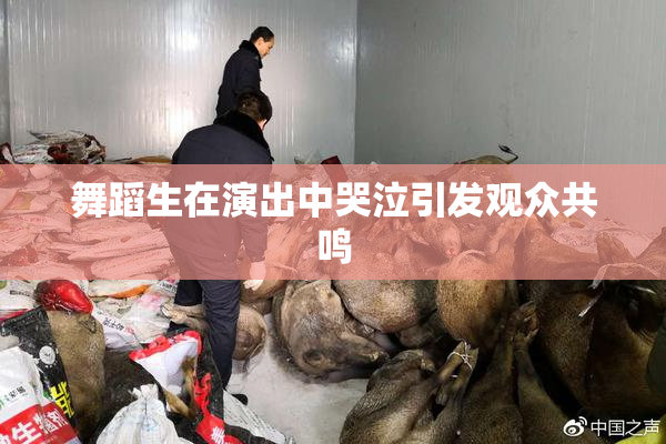 舞蹈生在演出中哭泣引发观众共鸣