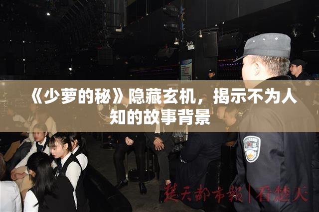 《少萝的秘》隐藏玄机，揭示不为人知的故事背景