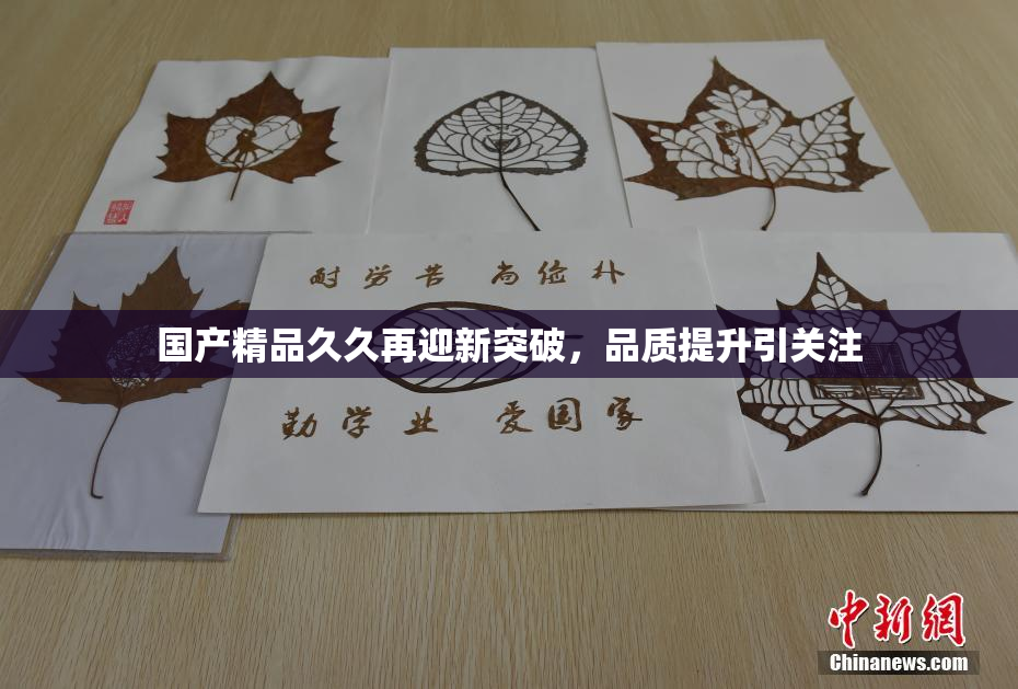 国产精品久久再迎新突破，品质提升引关注