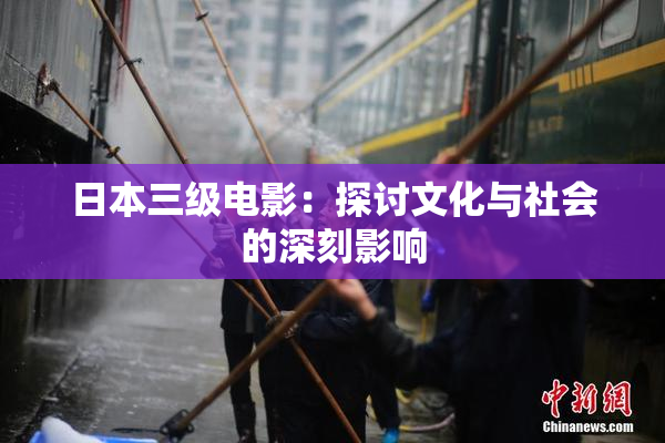 日本三级电影：探讨文化与社会的深刻影响