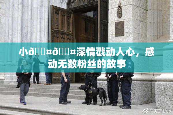 小🐤🐤深情戳动人心，感动无数粉丝的故事