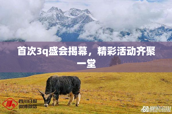 首次3q盛会揭幕，精彩活动齐聚一堂