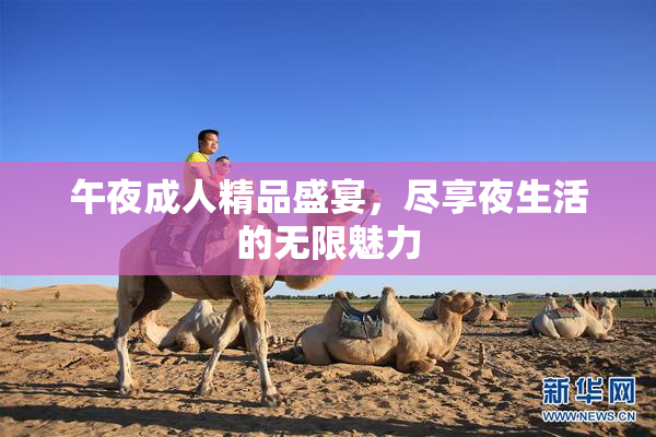 午夜成人精品盛宴，尽享夜生活的无限魅力