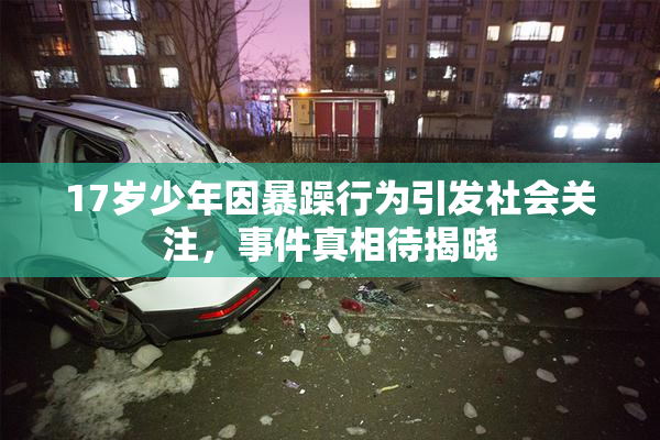 17岁少年因暴躁行为引发社会关注，事件真相待揭晓