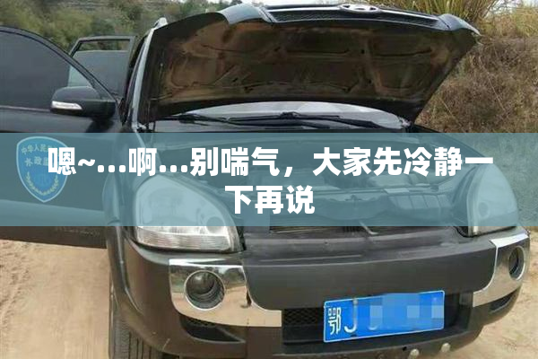 嗯~…啊…别喘气，大家先冷静一下再说