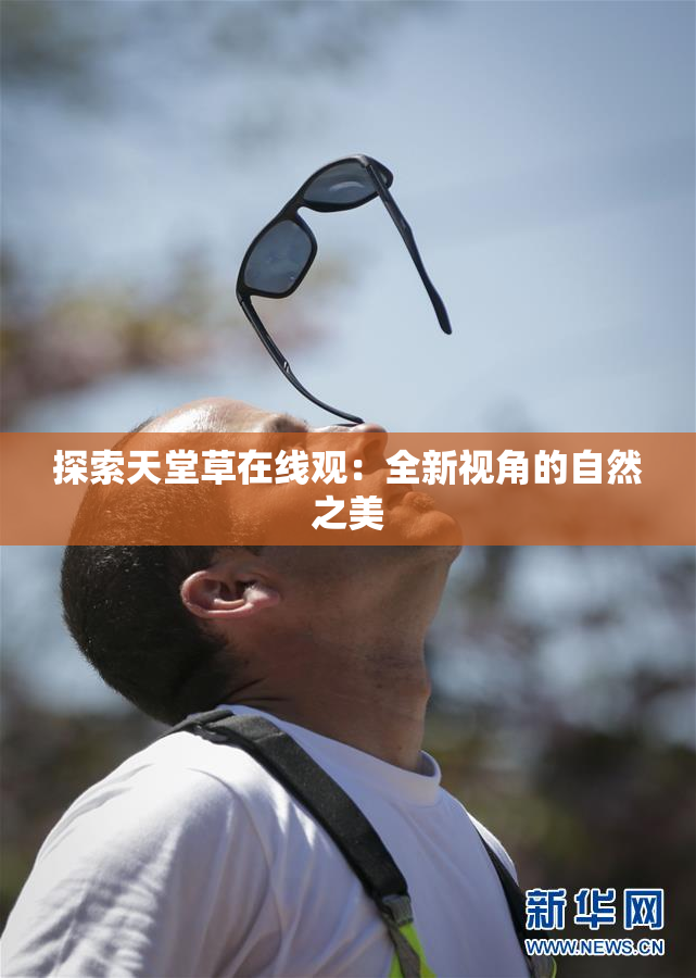 探索天堂草在线观：全新视角的自然之美