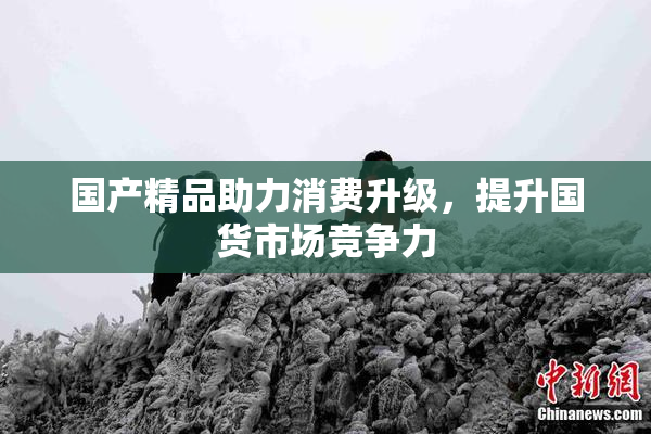 国产精品助力消费升级，提升国货市场竞争力
