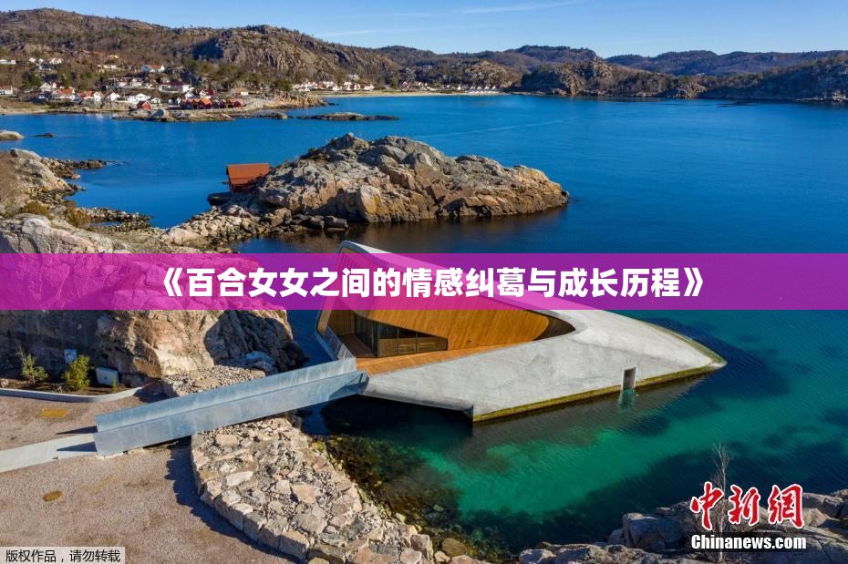 《百合女女之间的情感纠葛与成长历程》