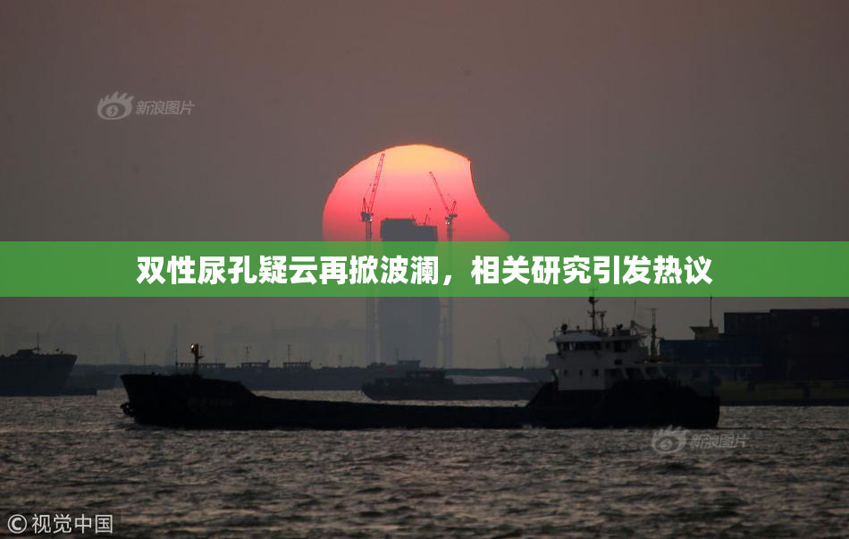 双性尿孔疑云再掀波澜，相关研究引发热议