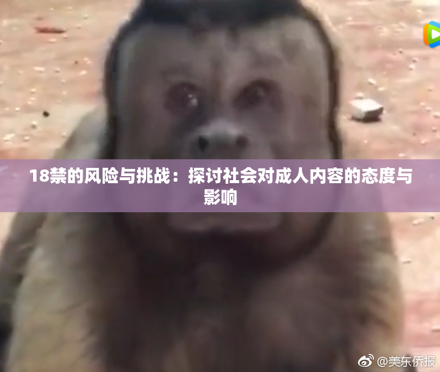 18禁的风险与挑战：探讨社会对成人内容的态度与影响