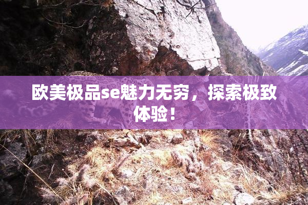 欧美极品se魅力无穷，探索极致体验！