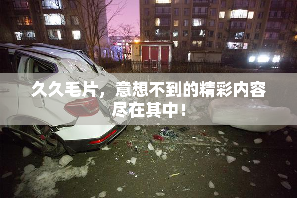 久久毛片，意想不到的精彩内容尽在其中！