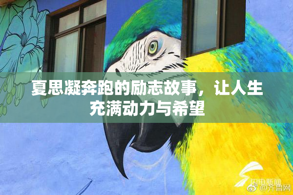 夏思凝奔跑的励志故事，让人生充满动力与希望