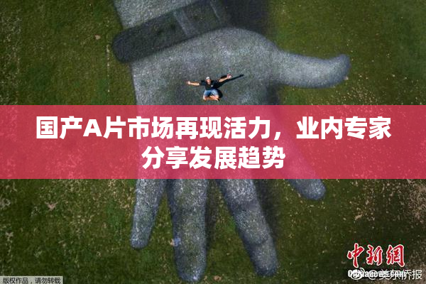 国产A片市场再现活力，业内专家分享发展趋势