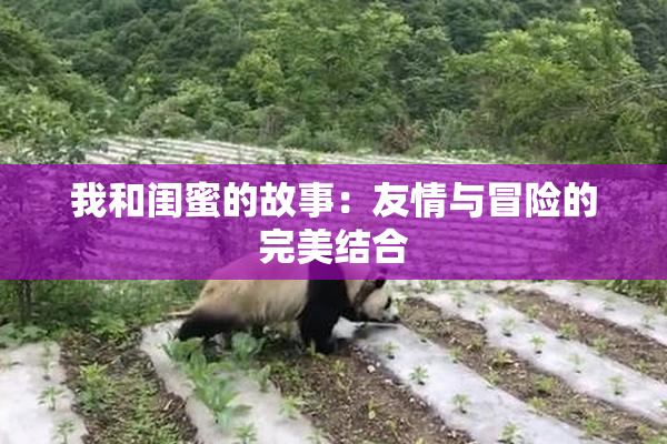 我和闺蜜的故事：友情与冒险的完美结合