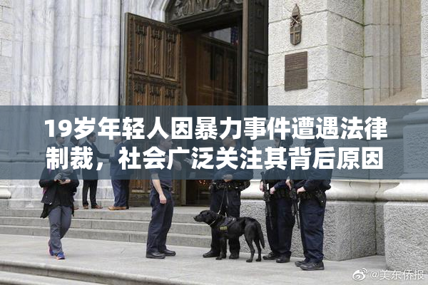 19岁年轻人因暴力事件遭遇法律制裁，社会广泛关注其背后原因