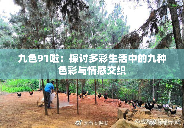 九色91啦：探讨多彩生活中的九种色彩与情感交织