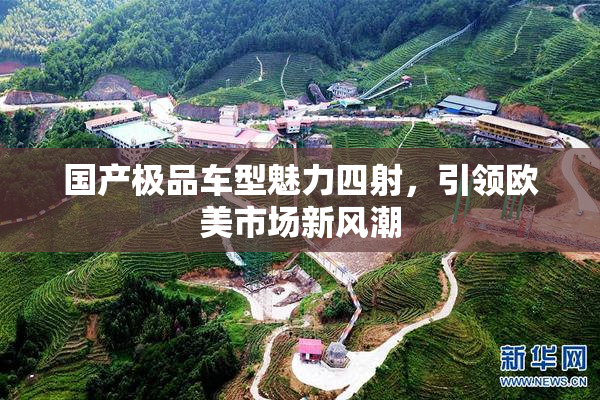 国产极品车型魅力四射，引领欧美市场新风潮