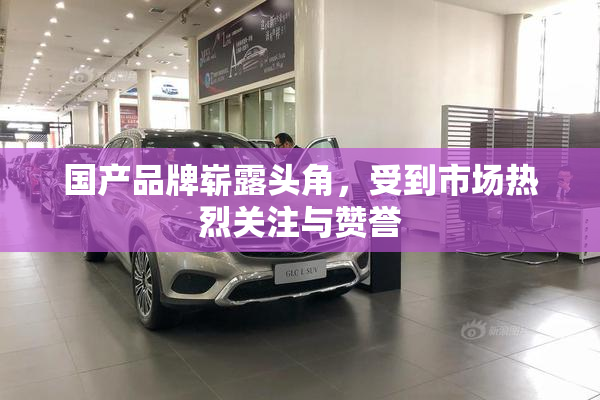 国产品牌崭露头角，受到市场热烈关注与赞誉