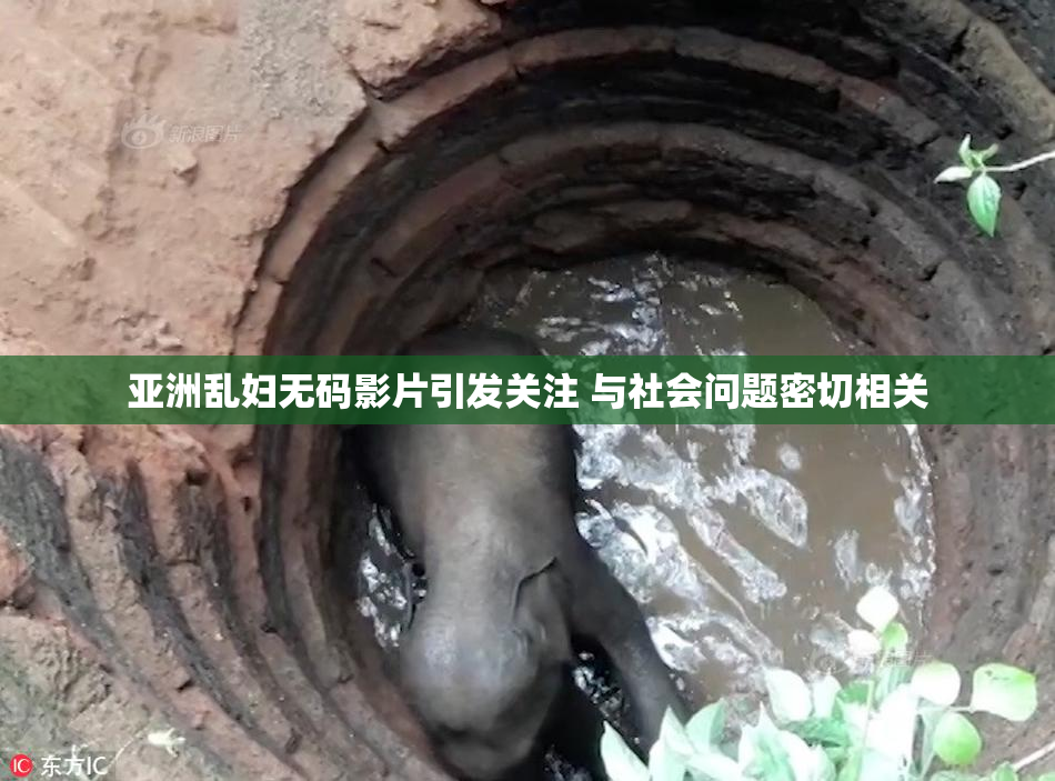亚洲乱妇无码影片引发关注 与社会问题密切相关