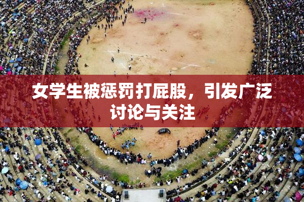 女学生被惩罚打屁股，引发广泛讨论与关注