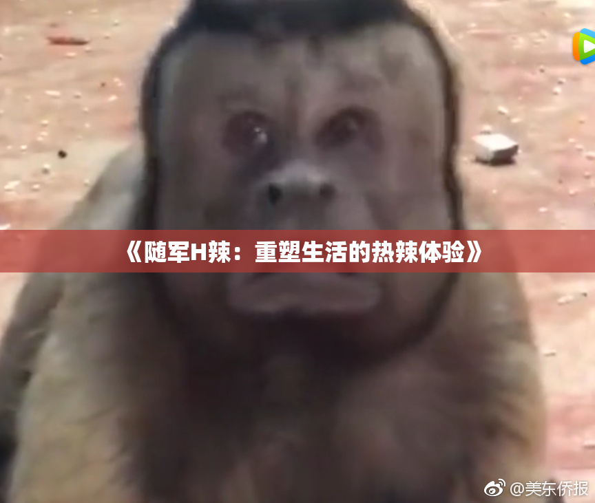 《随军H辣：重塑生活的热辣体验》
