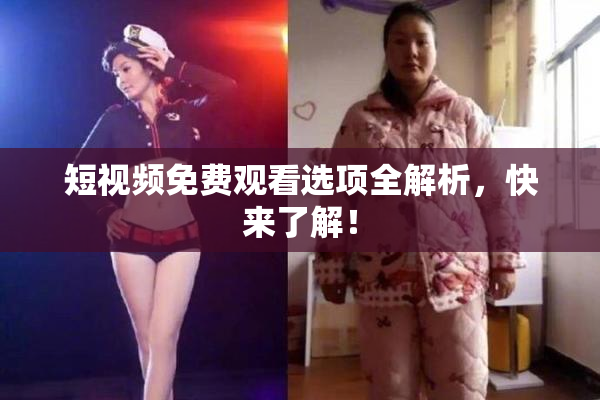 短视频免费观看选项全解析，快来了解！