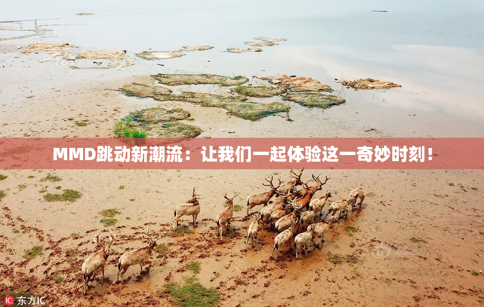 MMD跳动新潮流：让我们一起体验这一奇妙时刻！