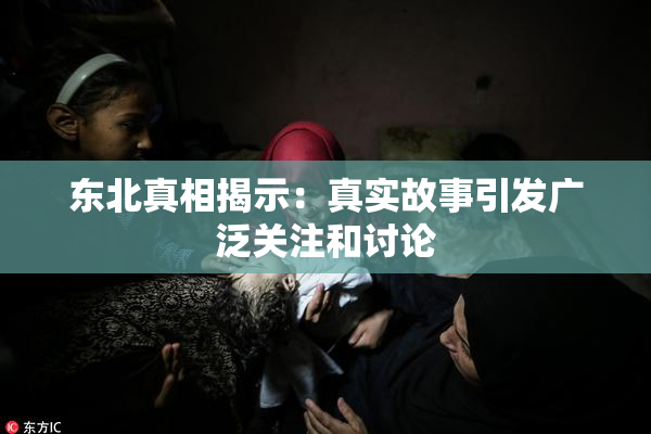 东北真相揭示：真实故事引发广泛关注和讨论