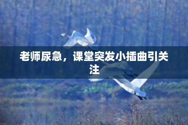 老师尿急，课堂突发小插曲引关注