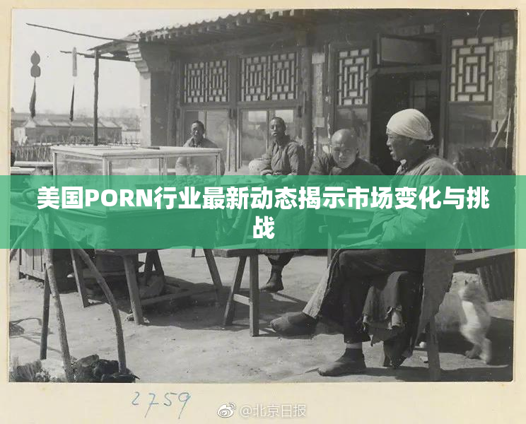 美国PORN行业最新动态揭示市场变化与挑战