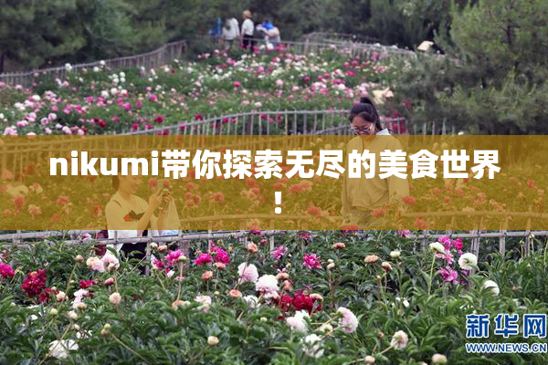 nikumi带你探索无尽的美食世界！