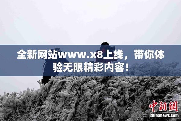 全新网站www.x8上线，带你体验无限精彩内容！