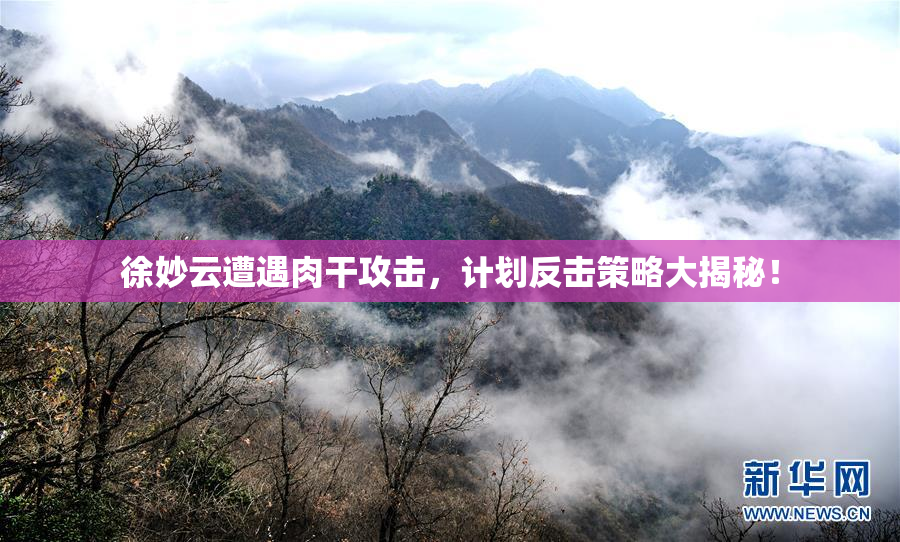 徐妙云遭遇肉干攻击，计划反击策略大揭秘！