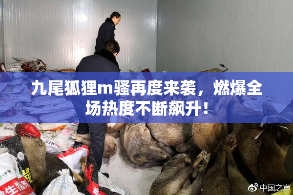 九尾狐狸m骚再度来袭，燃爆全场热度不断飙升！